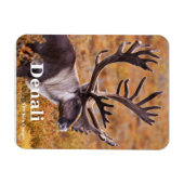 カリブアットデナリ マグネット (横)