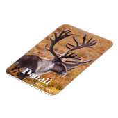 カリブアットデナリ マグネット (左側)