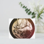 カリブツリー&造園はがき ポストカード (スタンド正面)