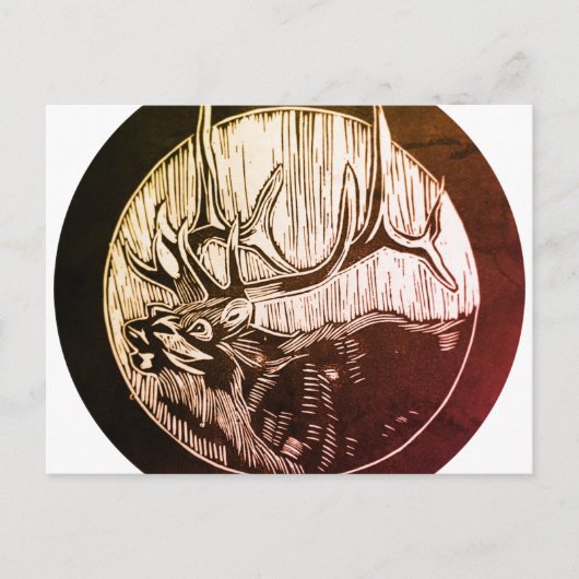 カリブツリー&造園はがき ポストカード (正面)