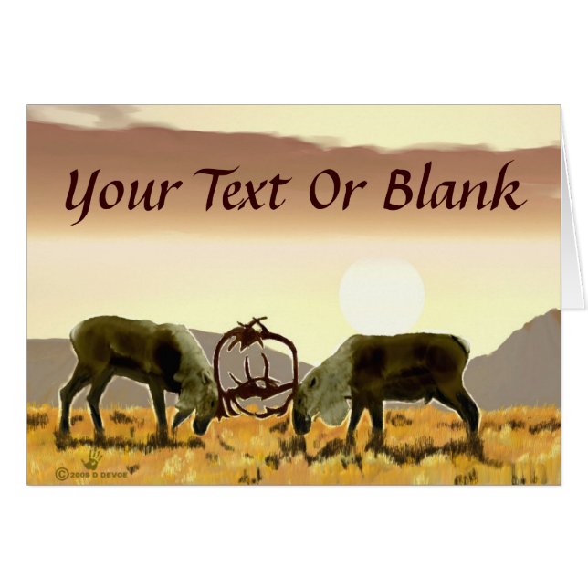 カリブデュエル (正面横)