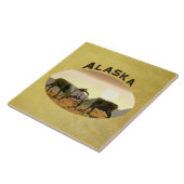 カリブデュエル – アラスカ タイル (側面)