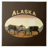 カリブデュエル – アラスカ タイル (正面)