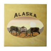 カリブデュエル – アラスカ タイル (正面)