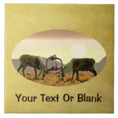 カリブデュエル タイル (正面)