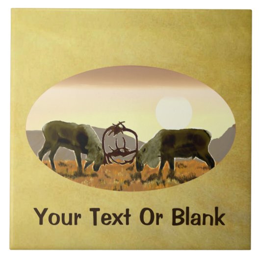 カリブデュエル タイル (正面)