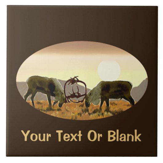 カリブデュエル タイル (正面)