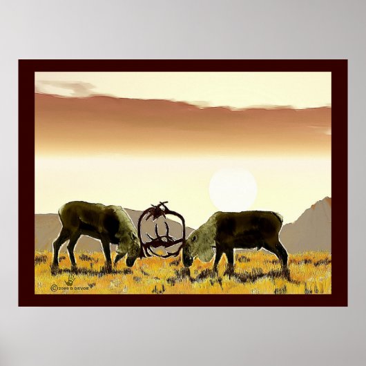 カリブデュエル ポスター (正面)