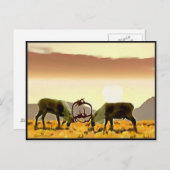 カリブデュエル ポストカード (正面/裏面)