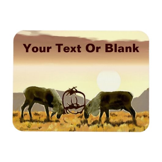 カリブデュエル マグネット (横)