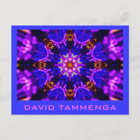 カリブルーピンクDAVID TAMMENGA ポストカード (正面)
