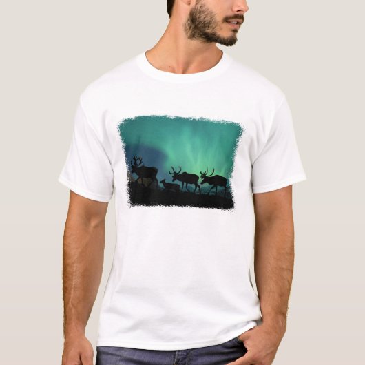カリブーおよびNorthern Lights Tシャツ (正面)