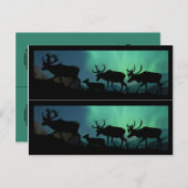 カリブーとノーザンライト ポストカード (正面/裏面)