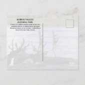 カリブーはアラスカ州コブク川を渡って移動 ポストカード (裏面)