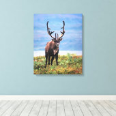 カリブーまたはトナカイ |アラスカ,デナリ国立公園 キャンバスプリント (インサイチュ (ウッドフロア))