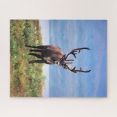 カリブーまたはトナカイ |アラスカ，デナリ国立公園 ジグソーパズル (横)