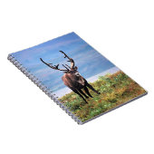 カリブーまたはトナカイ |アラスカ，デナリ国立公園 ノートブック (右側)