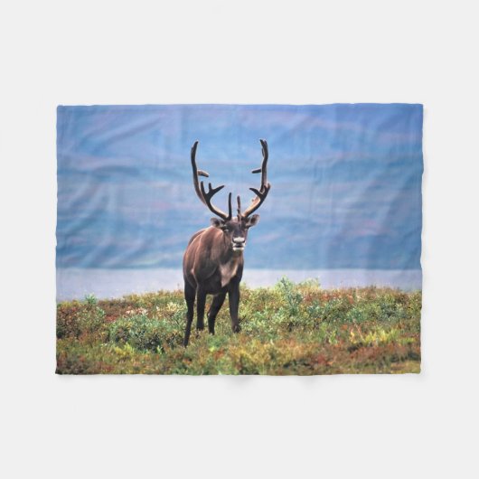 カリブーまたはトナカイ |アラスカ,デナリ国立公園 フリースブランケット (正面(横))