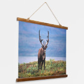 カリブーまたはトナカイ |アラスカ，デナリ国立公園 吊り下げ型タペストリー (傾斜あり)