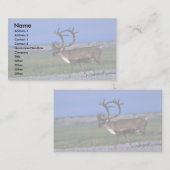 カリブーブル 名刺 (正面/裏面)