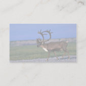 カリブーブル 名刺 (裏面)