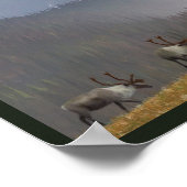 カリブー2 ポスター (角)