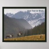 カリブー2 ポスター (正面)