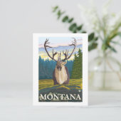 カリブー・イン・ザ・ワイルド – モンタナ ポストカード (スタンド正面)