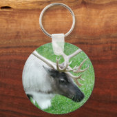 カリブー キーホルダー (正面)