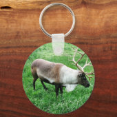 カリブー キーホルダー (正面)