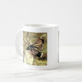 カリブー コーヒーマグカップ (正面左)