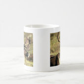 カリブー コーヒーマグカップ (中央)