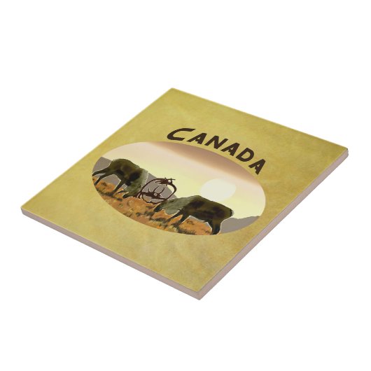 カリブー・デュエル – カナダ タイル (側面)