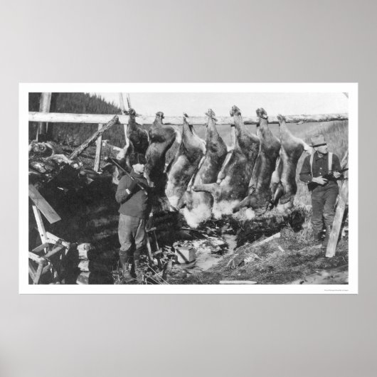 カリブー・ハンターズアラスカ1928 ポスター (正面)