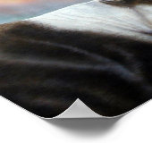 カリブー ポスター (角)