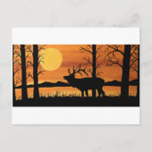 カリブー ポストカード (正面)