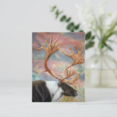 カリブー ポストカード (スタンド正面)