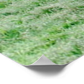 カリブー(大〔雄ジカの〕枝角) ポスター (角)