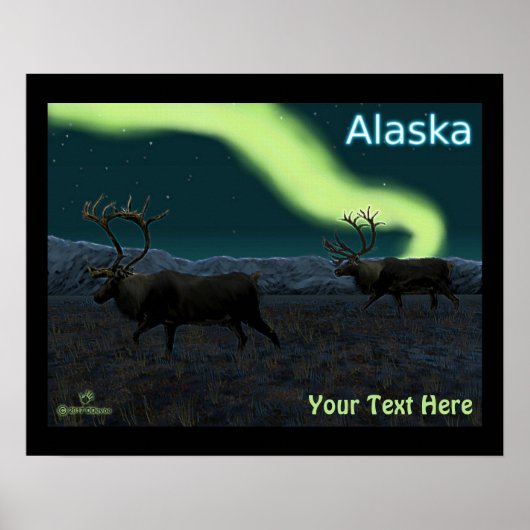 カリブー – Long March ポスター (正面)