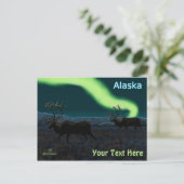 カリブー – Long March ポストカード (スタンド正面)