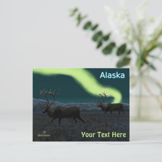 カリブー – Long March ポストカード (スタンド正面)