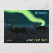 カリブー – Long March ポストカード (正面)