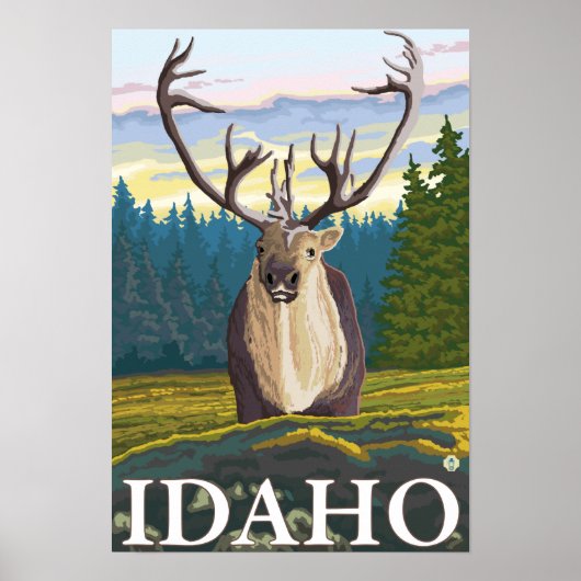 カリブーin the wild - Idaho ポスター (正面)