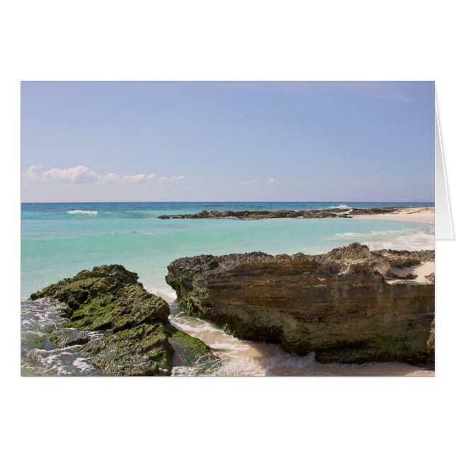 カリブ海によって (正面横)