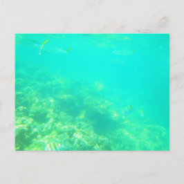 カリブ海のポストカード12 ポストカード