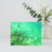 カリブ海のポストカード2 ポストカード (スタンド正面)