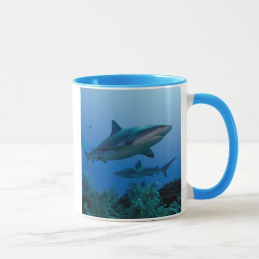 カリブ海のメジロザメ　アナ・マリア湾 マグカップ (右)