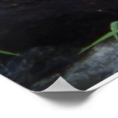 カリブ海の鳥のポスター ポスター (角)