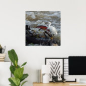 カリブ海の鳥のポスター ポスター (ホームオフィス)