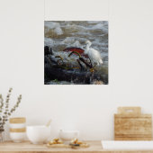 カリブ海の鳥のポスター ポスター (キッチン)